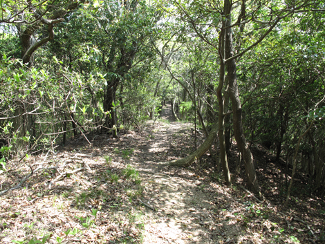 20140426hike (102)